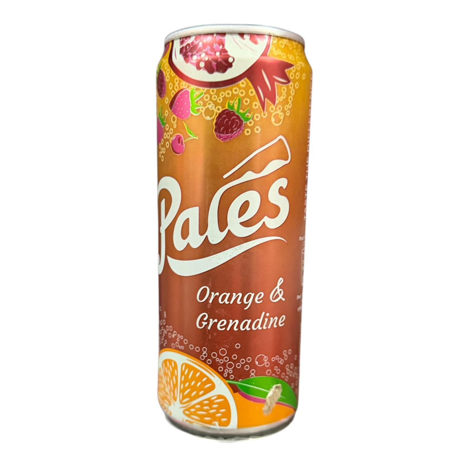 Pack 24 Pales Drink 33Cl