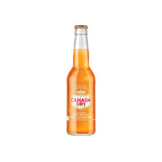 Pack 24 Canada Dry Pêche Mangue Bouteille