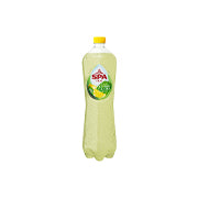 Pack 24 Spa Pétillant Fruités 50Cl