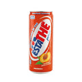 Pack 24 Esta-Thé Pêche 33Cl