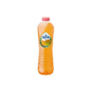 Pack 24 Spa Fruités Plate 50cl
