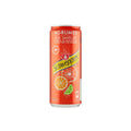 Pack 24 Schweppes Agrumes 33Cl