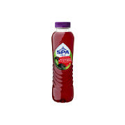 Pack 24 Spa Fruités Plate 50cl